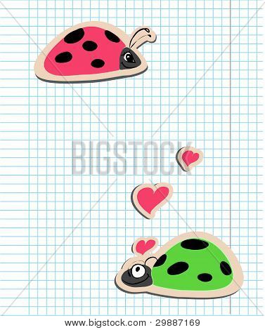 coccinelle in amore