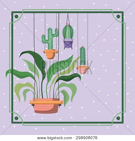 Frame With Houseplants And Cactus Hanging In Macrame Vector Illustration Design