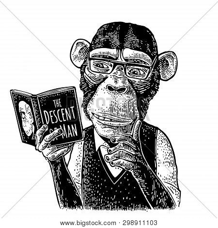 Monkey Hipster Is Reading A Book. Vintage Black Engraving