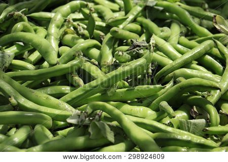 A Heap Of Fresh Green Fava Bean Pods In The Market In Lebanon.