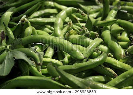 A Heap Of Fresh Green Fava Bean Pods In The Market In Lebanon.