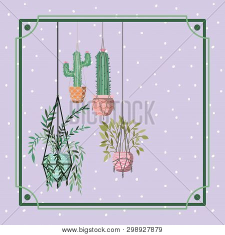 Frame With Houseplants And Cactus Hanging In Macrame Vector Illustration Design