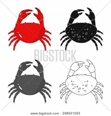 Vector Illustration Of Crab  And Seafood Icon. Set Of Crab  And Sea  Stock Vector Illustration.