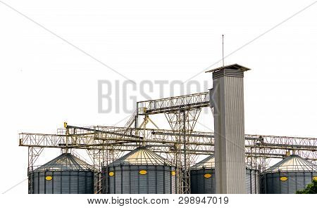 Agricultural Silo At Feed Mill Factory. Flat Silo For Store And Drying Grain, Wheat, Corn At Farm. S