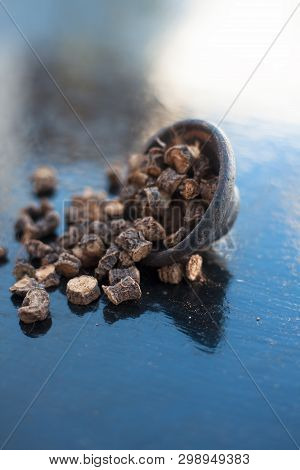 Popular Indian & Asian Ayurvedic Organic Herb Musli Or Chlorophytum Borivilianum Or Curculigo Orchio