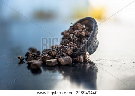 Popular Indian & Asian Ayurvedic Organic Herb Musli Or Chlorophytum Borivilianum Or Curculigo Orchio