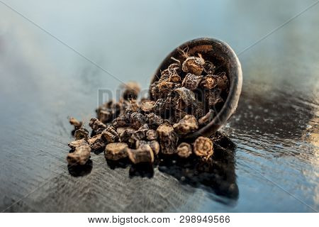 Popular Indian & Asian Ayurvedic Organic Herb Musli Or Chlorophytum Borivilianum Or Curculigo Orchio