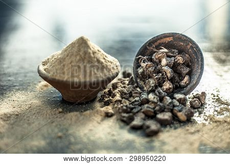Popular Indian & Asian Ayurvedic Organic Herb Musli Or Chlorophytum Borivilianum Or Curculigo Orchio