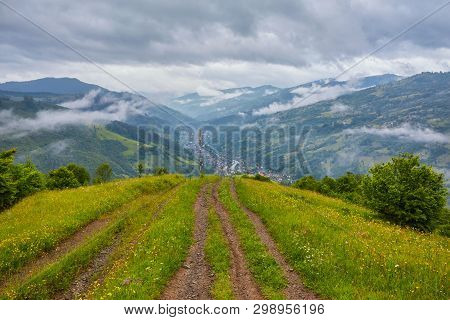 Forest Road Through A Pine Forest And Flowering Meadows