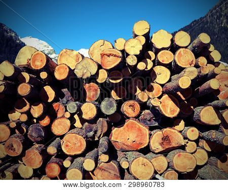 Cut Logs By The Lumberjack And The Pile Of Wood In Mountains With Old Toned Effect