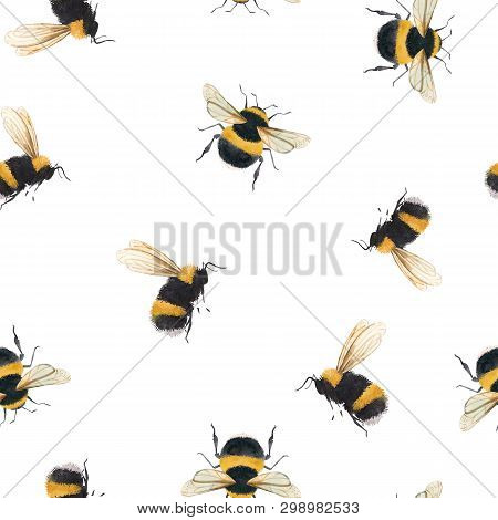 Beautiful Seamless Pattern With Watercolor Bumblebee Bee Wasp Insect
