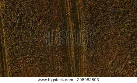 Aerial Top View Of A Tourist Walking On The Cuntry Road And Green Field In Sunset Sun. Man Walking T