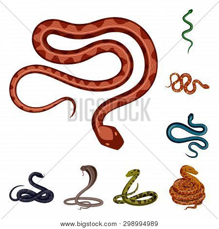 Vector Illustration Of Poison And Evil Sign. Collection Of Poison And Bite Vector Icon For Stock.