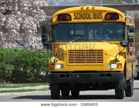 Školní autobus