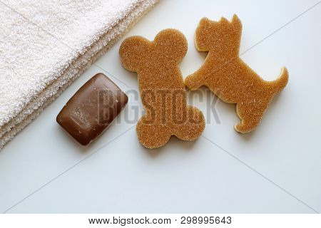 Brown Soap Bar, Beige Image & Photo (Free Trial) | Bigstock