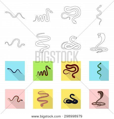 Vector Design Of Mammal And Danger Logo. Collection Of Mammal And Medicine Stock Symbol For Web.