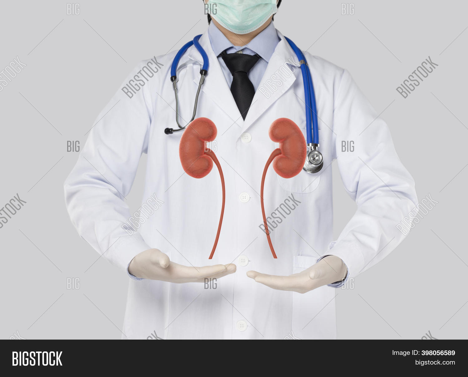 Урология. Медицина почки. Врач занимающийся почками у женщин. Почки. Урология и нефрология.