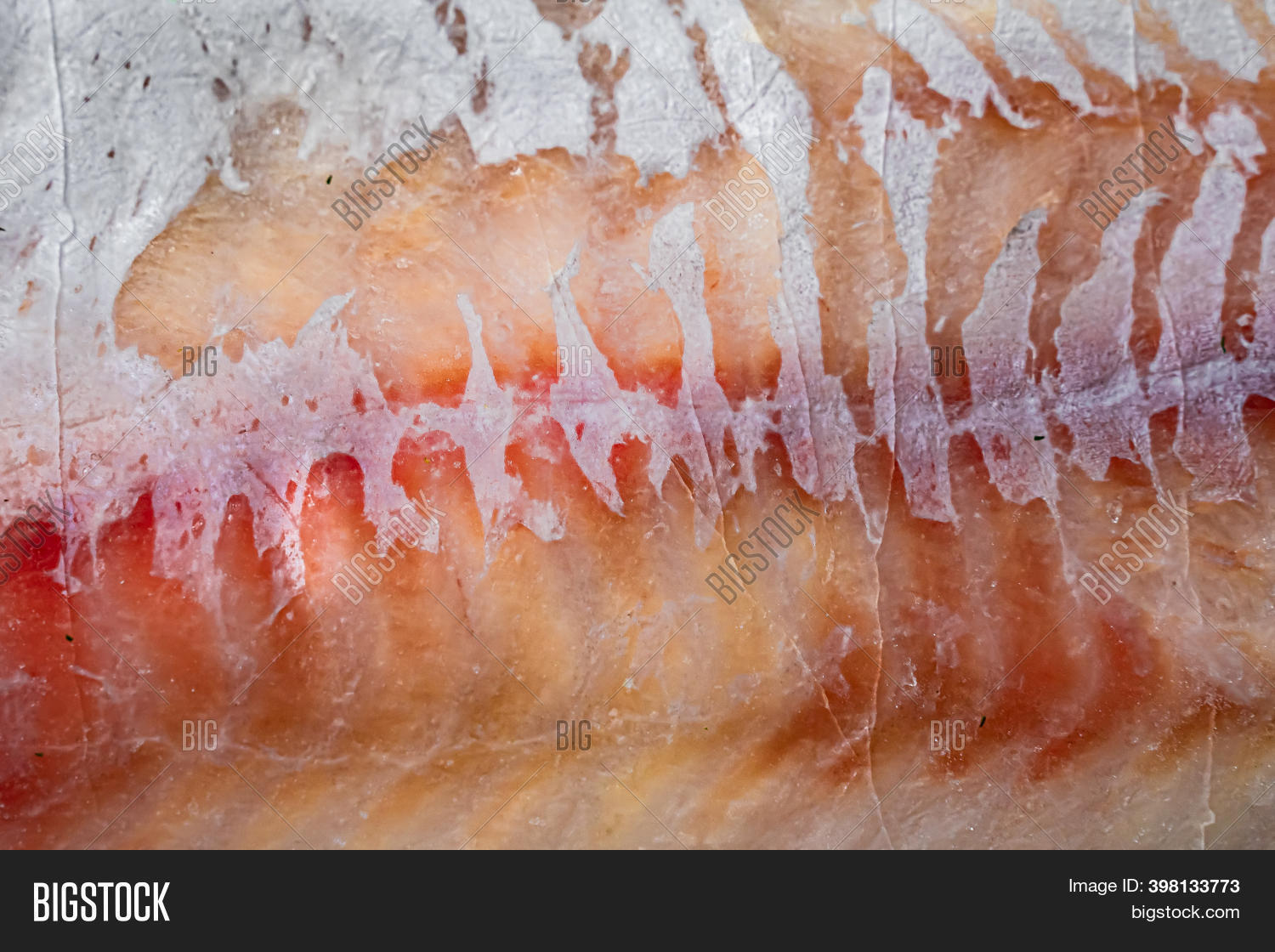 Codfish Scales. Image & Photo (Free Trial) Bigstock