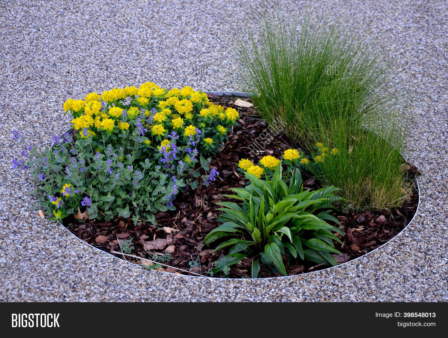 Circle Flower Bed Image & Photo (Free Trial) | Bigstock