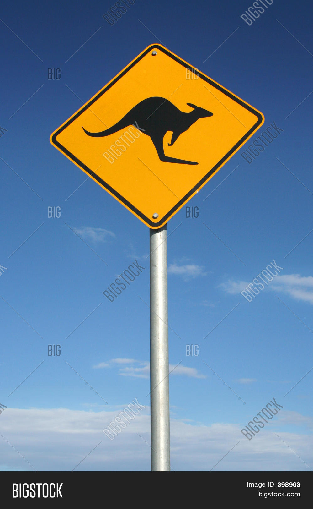 watch-out-roos-image-photo-free-trial-bigstock