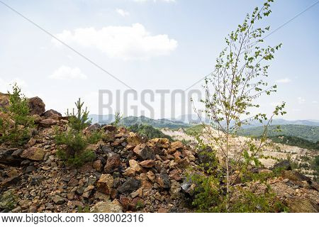Scenic Picture Of Beautiful Nature In The Apuseni Mountains , Transylvania On Summertime