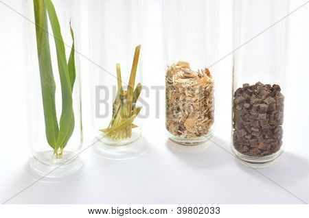 Natur till Biopolymer
