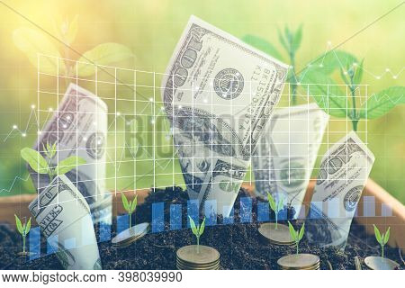 Us Dollars And Gold Coin With Plant Grow From The Ground Box ; Investment Concept