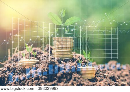 Money Gold Coin Stack Growing Graph On Ground With Green Bokeh Background;trees Growing On Gold Coin