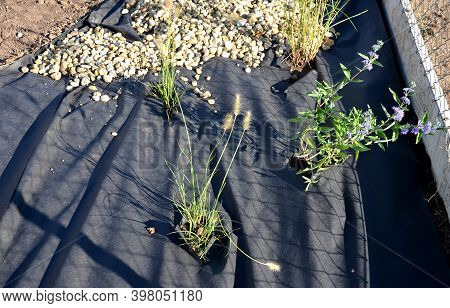 Delivery Of Gray River Pebbles Like Mulch To Flower Beds In The Garden Using A Wheelbarow From The B