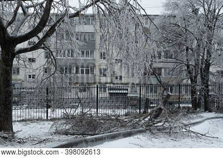 Trees Covered With Ice After Freezing Rain In Vladivostok, Russia. Sparkling Ice Covered Everything 