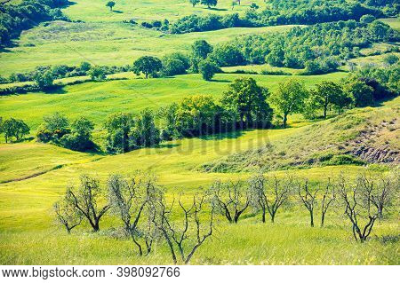Beautiful Landscape, Spring Nature, Sunny Fields On Hills In Tuscany, Italy