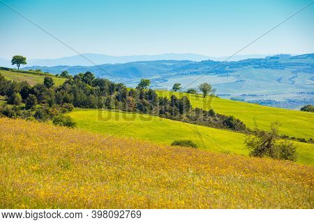 Beautiful Landscape, Spring Nature, Sunny Fields On Hills In Tuscany, Italy
