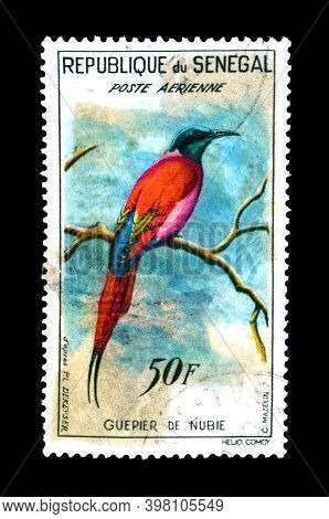 Senegal - Circa 1960  : Cancelled Postage Stamp Printed By Senegal, That Shows Northern Carmine Bee-