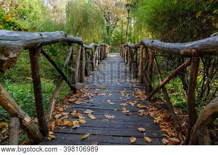 Landscape With Old Wooden Bridge, Vivid Green And Yellow Plants, Green Lime Trees And Grass In A Sun