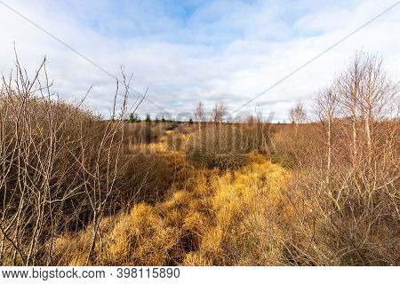 Colorful Landscape In The High Fens In Belgium In Autunm