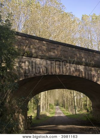 Ponte