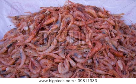 กุ้ง