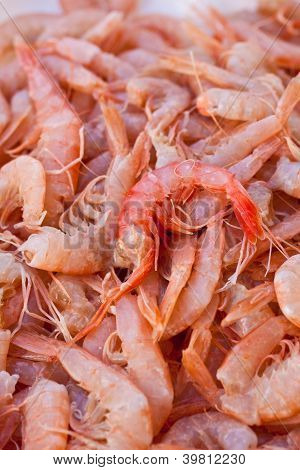 กุ้ง