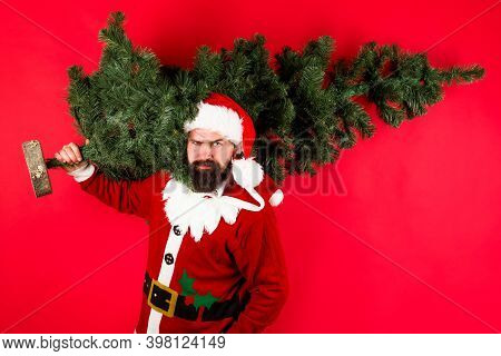 Santa With Pine Tree. Santa Man With Fir-tree. Christmas. New Year. Winter Holidays. Christmas Tree.