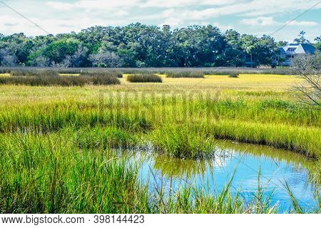 Green Grass In Saltwater Marsh At High Tide