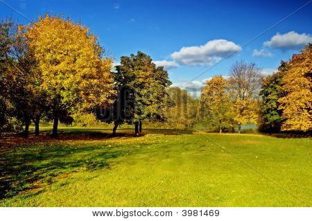 Park
