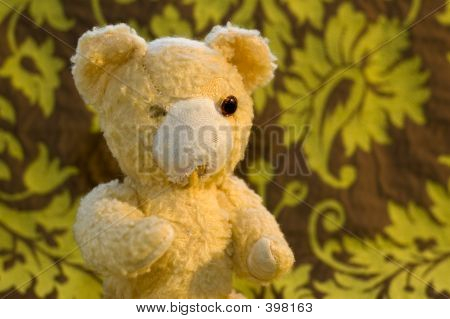 Stary Miś
