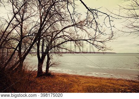 River In Winter And Tree Branches On Foreground