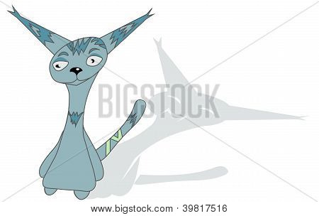 yabancı kedi