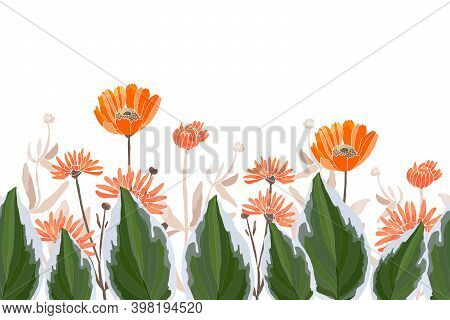Vector Floral Seamless Border, Pattern. Spring, Summer Flowers.
