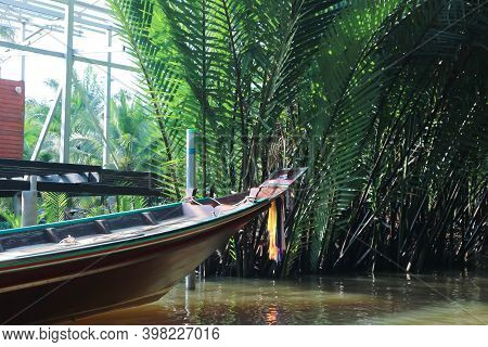 Mangrove Palm, Palm  Or Nipa Palm Near River And Port