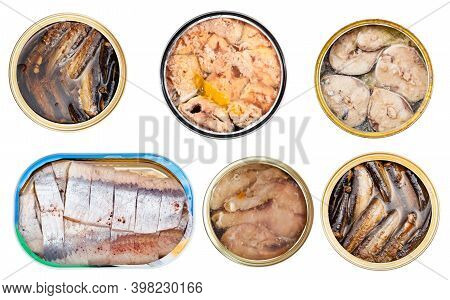Collection Of Canned Fishes Isolated On White Background