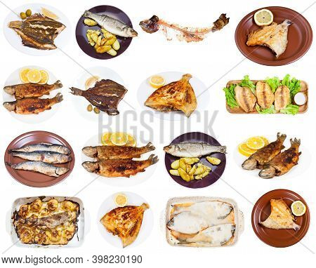 Set Of Various Fried Fishes (river Trout, Herring, Sprat, Pollack, Flounder, Seabass, Labrax, Seabre
