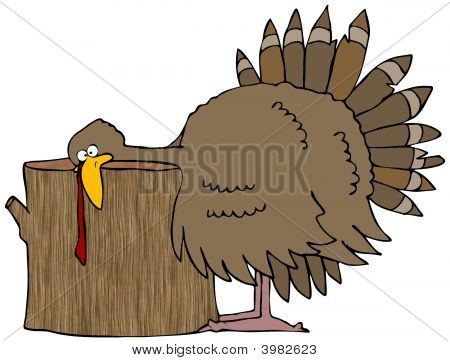 Turkiet huvud Chop