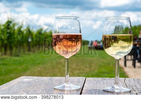 Tasting Of Dutch Sparkling Rose And Dry White Wine On Vineyard In Summer